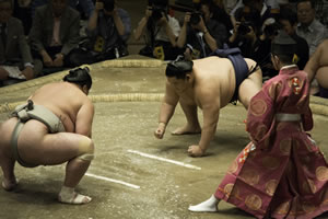 Sumo